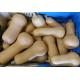 Courge Butternut 1kg